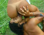 Sexe Voyeur - Photo 4